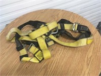 Harness Straps