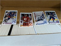Unsearched Hockey cards, 1990-1991