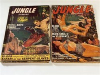 Lot of 2 Jungle Stories Comics