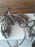 WORK HORSE BRIDLE AND DRIVING LINE