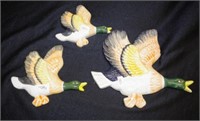 Three graduated ceramic duck wall figures