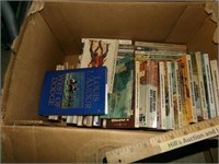 Big Box of Louis Lamour Books