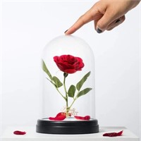 (Flower Broken) Enchanted Rose Light Beauty and th