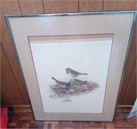 935/3000 Lovely Framed & Signed Nature Picture.