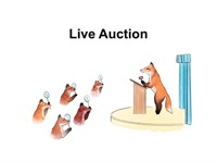 Live auction with online bidding for select items
