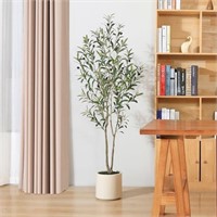 E9965  DR.Planzen 5FT Olive Tree 8.6 Planter