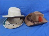 Hats-2 Straw & 1 Cowboy