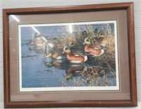 Ducks Wetland Wanderers Framed Picture