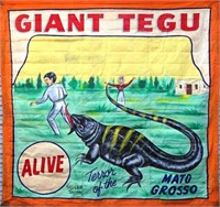 GIANT TEGU "TERROR OF THE MATO GROSSO" SIDESHOW BA