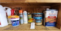 Bug stop, Clorox, Thompson’s Water Seal, CLR, &