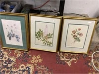 Set of three botanical prints, framed and matted