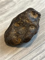 Fossilized Poop! The Perfect Gag Gift!