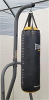 Everlast Power Core Punching Bag w/ Stand
