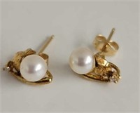 14kt Gold, Diamond and Pearl Earrings