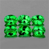 Natural Chrome Green Tsavorite Garnet 6 Pcs - VVS