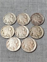 8 Buffalo Nickels, various dates