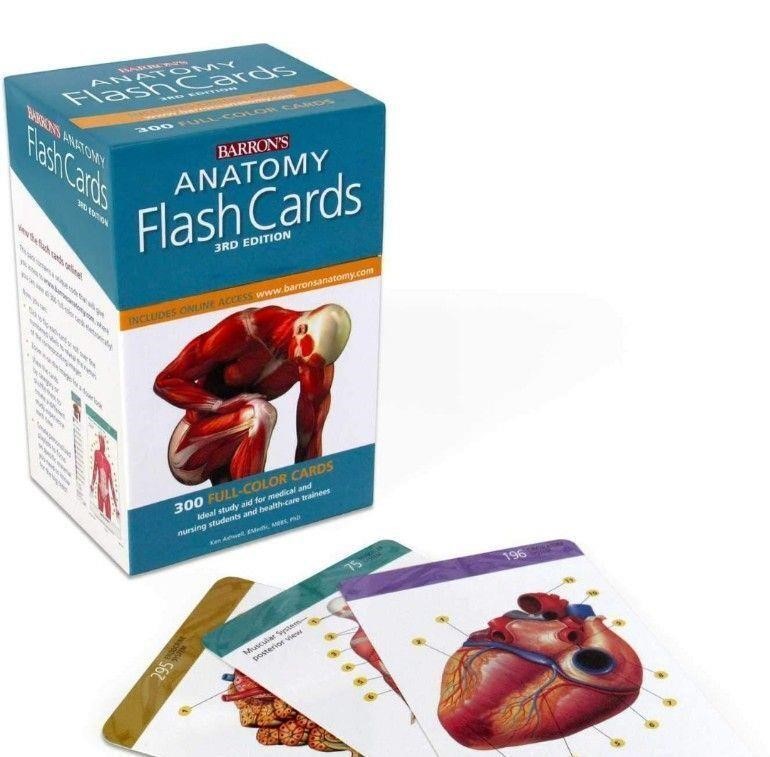 ($49) Anatomy Flash Cards