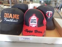 Minnesota Twins, Sapp Bros & Doane Caps