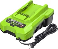 Greenworks 40V 2A Battery Charger