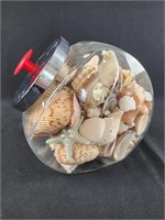 Glass Jar Full Of Seashells