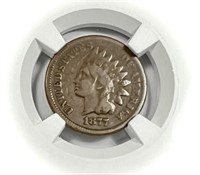 1877 Indian Head Cent NGC VG10BN KEY DATE!