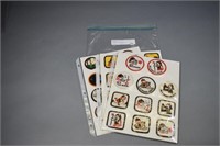 (39) Brownie Bees & Try-It patches