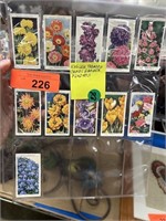 LOT OF 11 VTG TOBACCO CARDS WILLS GARDEN FLOWERS