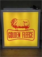 GOLDEN FLEECE Light Box - 600 x 625 
Modern
