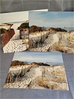 8x10 Photos Color Delaware Beach