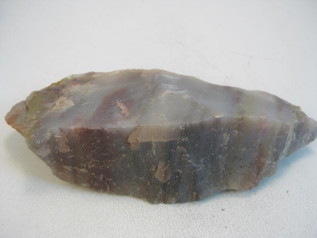 Petrified Wood Specimen