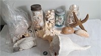 Sea Shell and glass cannister Collection