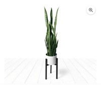 Artificial Snake Plant, 36"t, w/ Stand