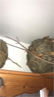 2 hornet nest