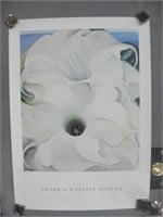 25"x 35" Flower Poster