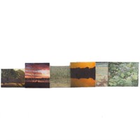 Six Landscapes, oils