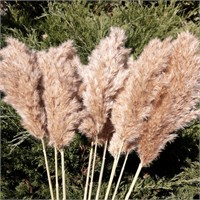 SREED 20 Pcs 23 Inch Tall Fluffy Pampas Grass XL S