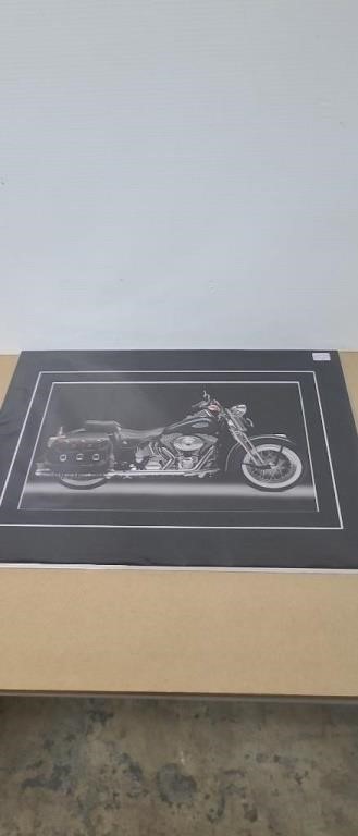 Harley Davidson Springer Picture Matted. 16" x 20