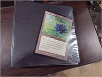 Magic the Gathering Cards w/Binder