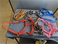lot of 6 various halters