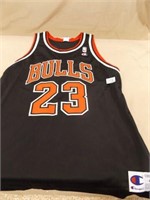 Champion Jordan Bulls 23 Jersey