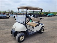 2010 EZGO RXV Gas Golf Cart