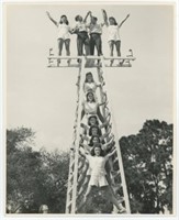 8x10 Stunt group on ladders