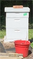Bee Hive with Active Bees