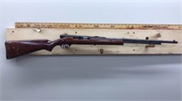 Pioneer .22 rifle