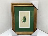Kids Bedroom Decor Beetle Art Print Green Beetle