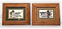 Duck Prints in Frames