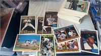 Huge 1994 Topps Gold lot with stars and Rookie Dei