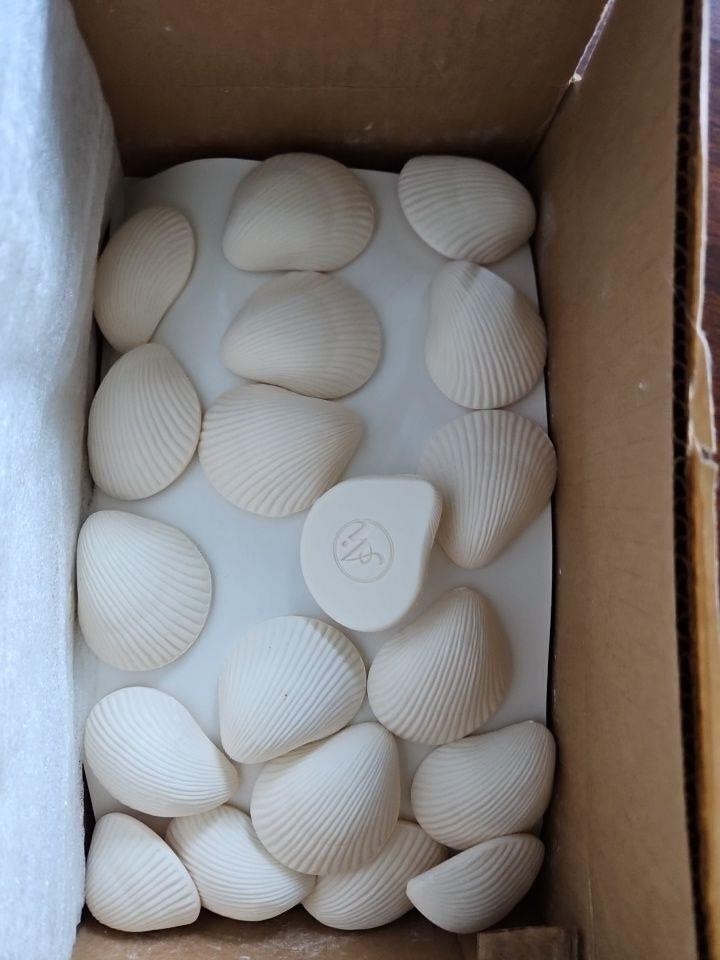 Box of Sea Shell Decorative Soap