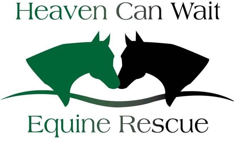 Heaven Can Wait Equine Rescue Auction July 2024
