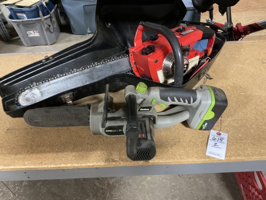 HOMELITE & EARTHWISE Chainsaws